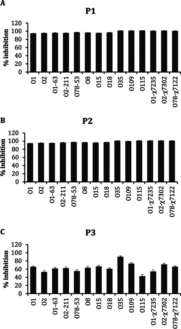 FIG 2