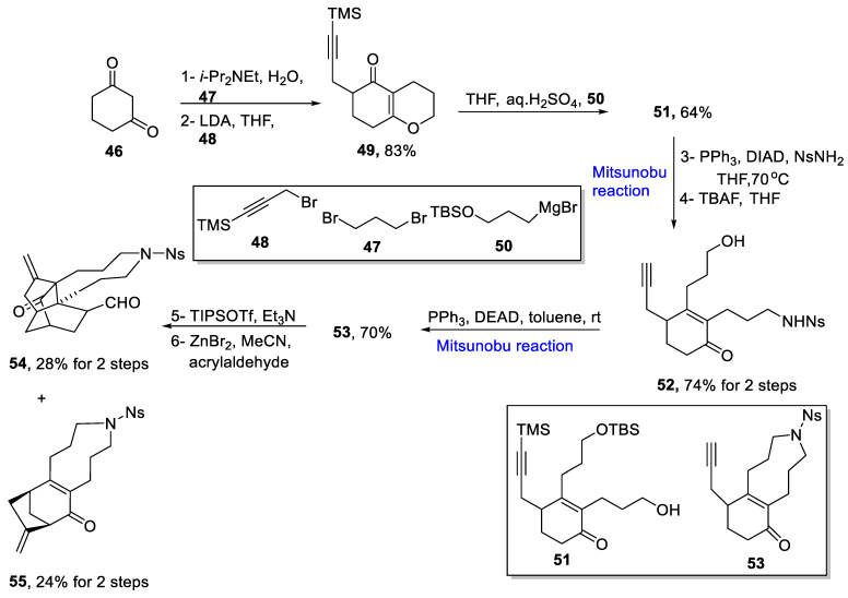 Scheme 8