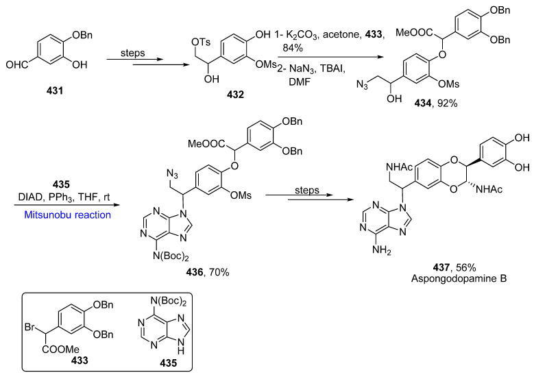 Scheme 66
