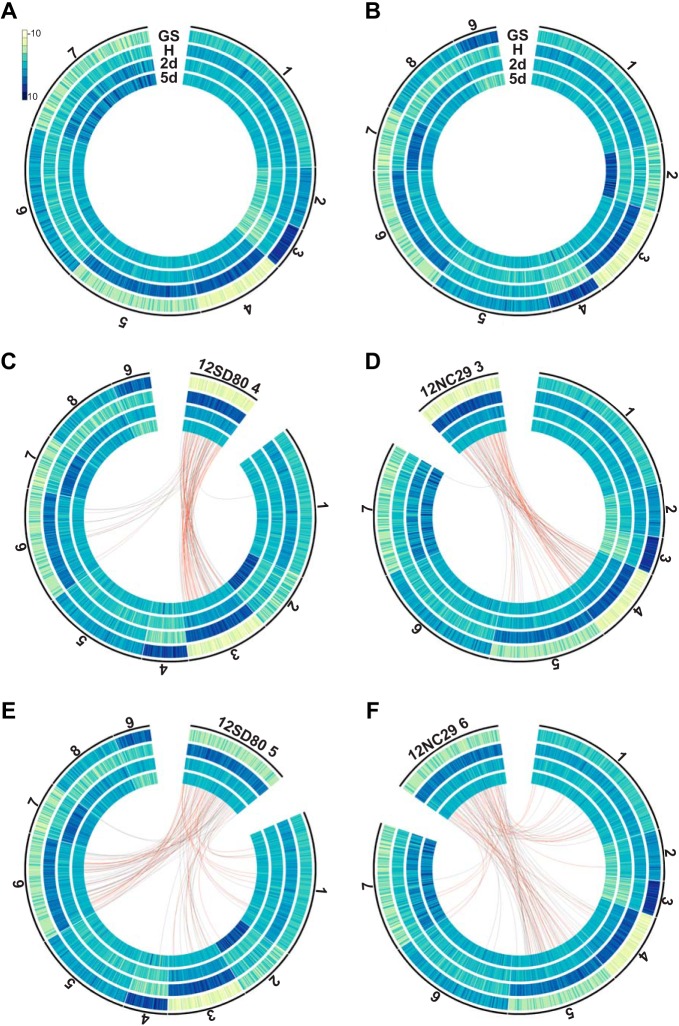 FIG 4 