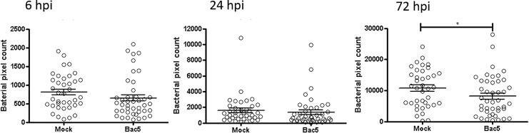 Fig 5