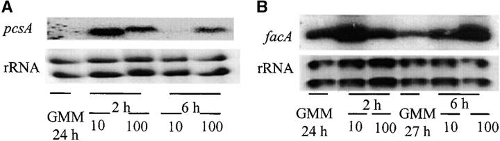 Figure 6.—