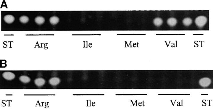 Figure 4.—