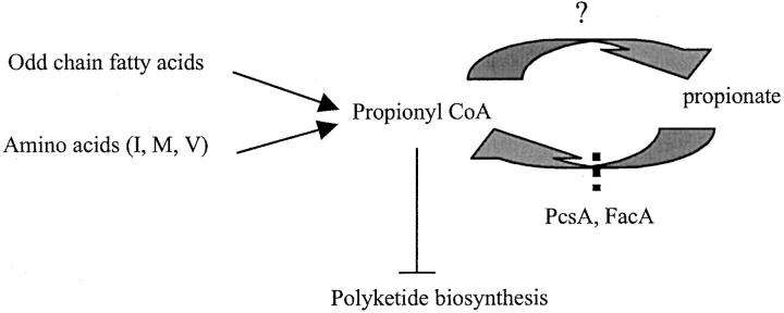 Figure 12.—