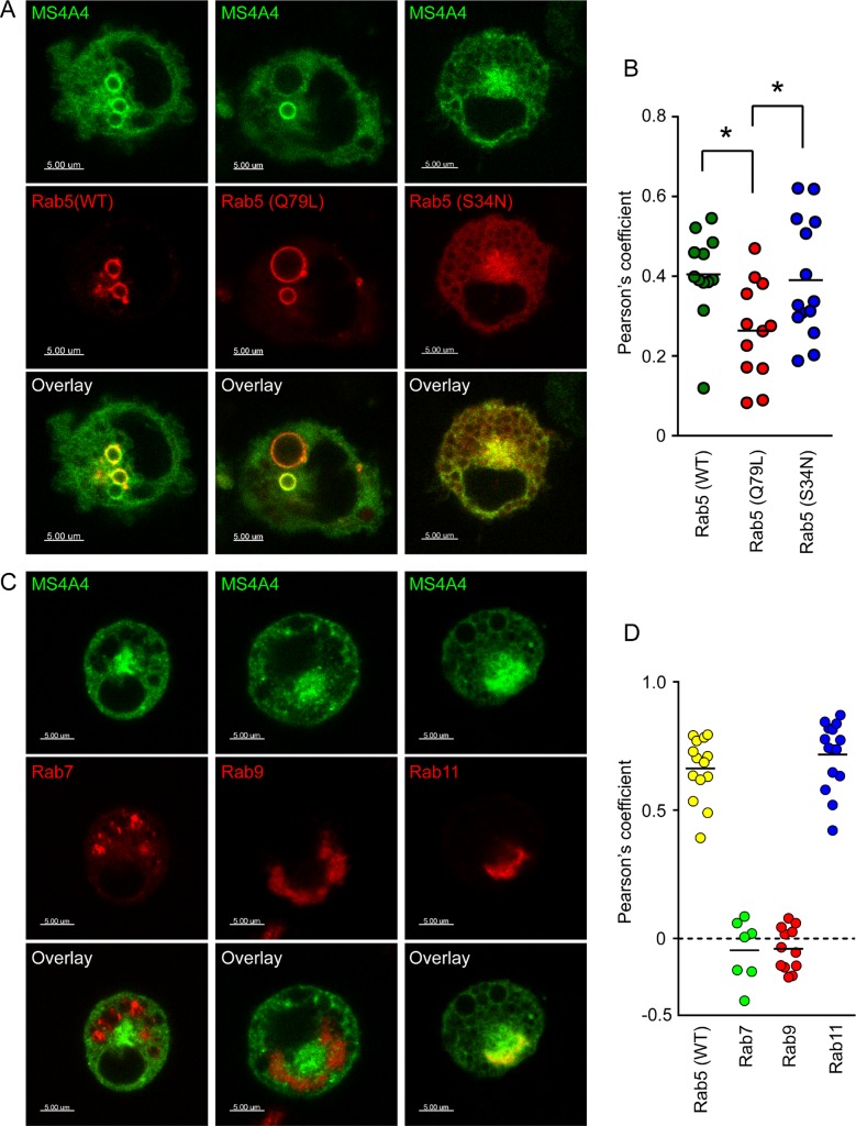 FIGURE 4: