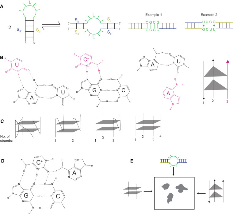 FIGURE 1.