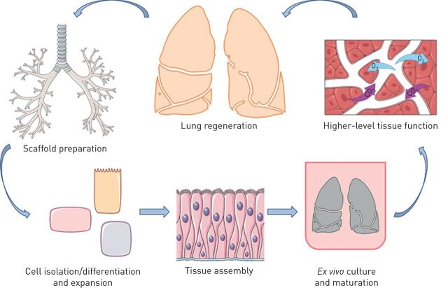 FIGURE 1