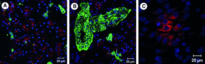 FIG. 7.