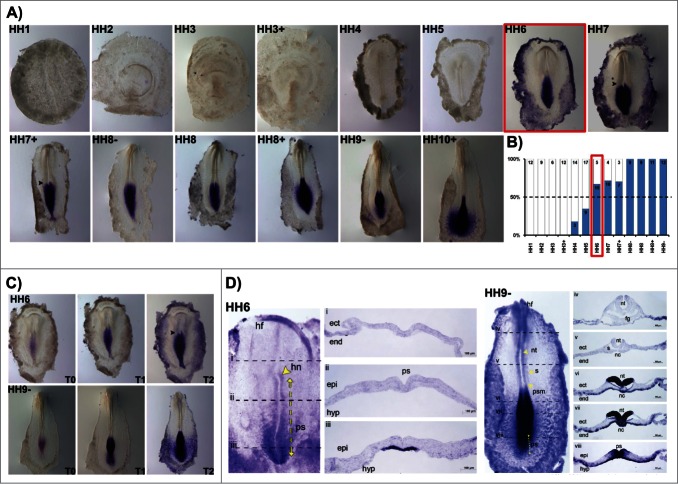 Figure 6.