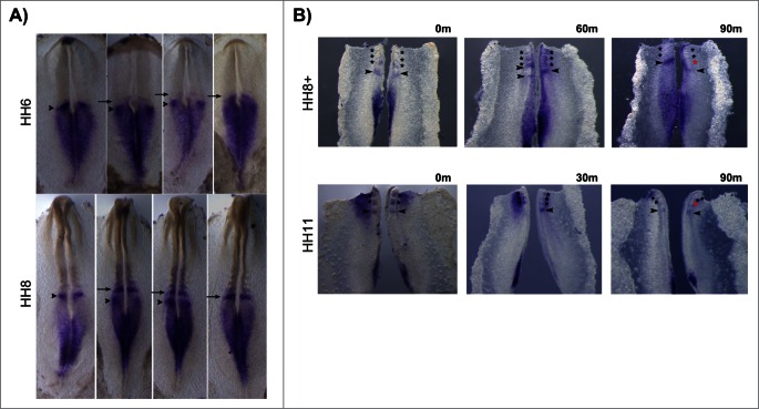 Figure 9.