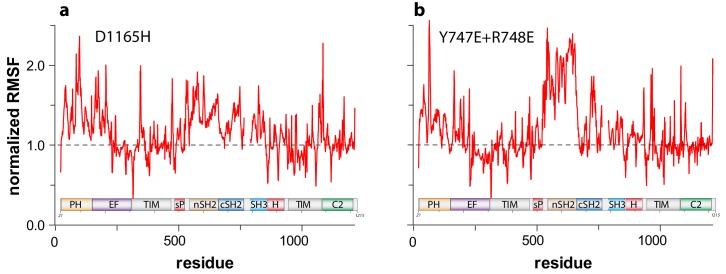 Figure 4—figure supplement 1.