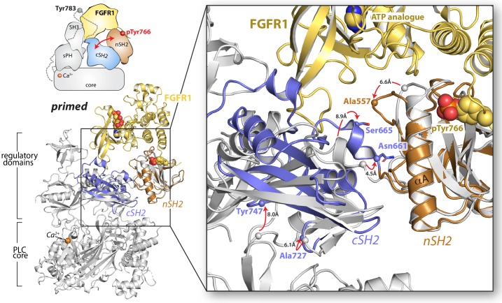 Figure 7—figure supplement 1.