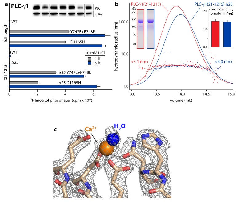 Figure 1—figure supplement 2.