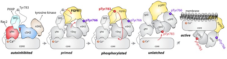 Figure 7.