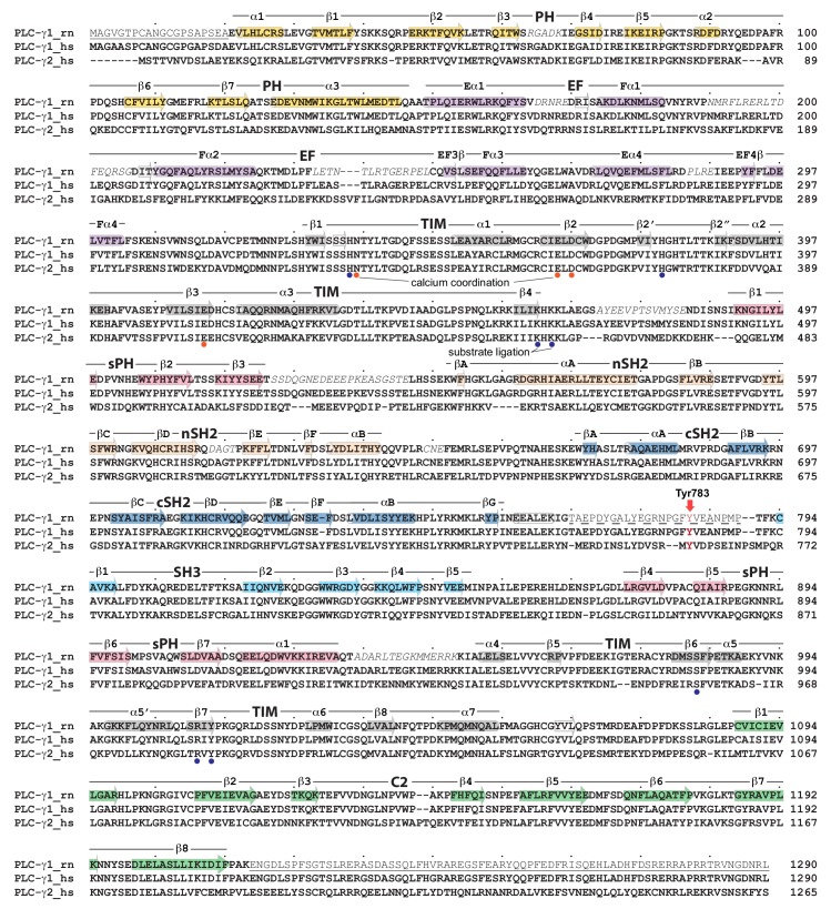 Figure 1—figure supplement 1.