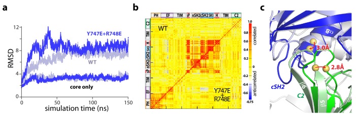 Figure 4—figure supplement 3.