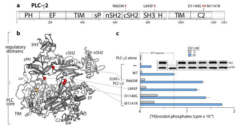 Figure 5—figure supplement 1.