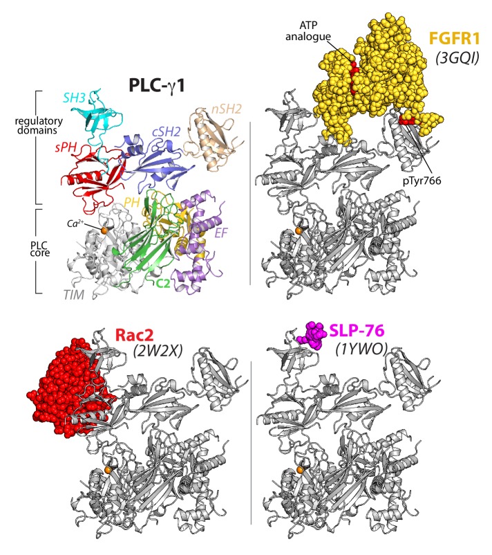 Figure 2.