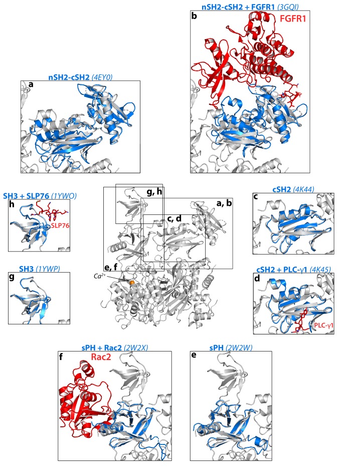 Figure 1—figure supplement 4.