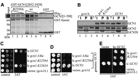 graphic file with name cdd621f6.jpg