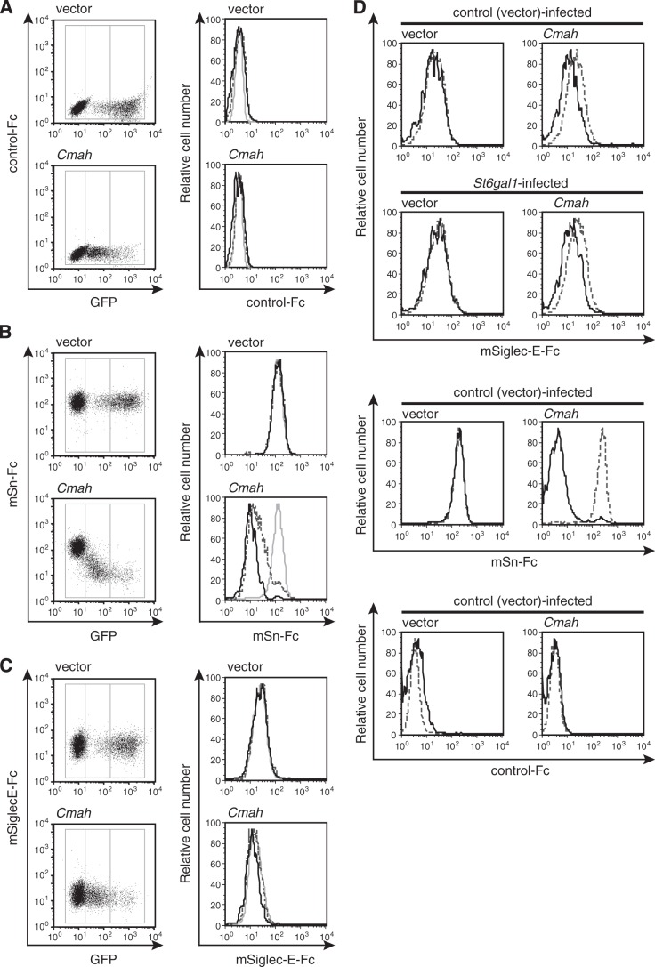 FIGURE 6.