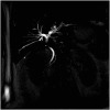 [Table/Fig-8]: