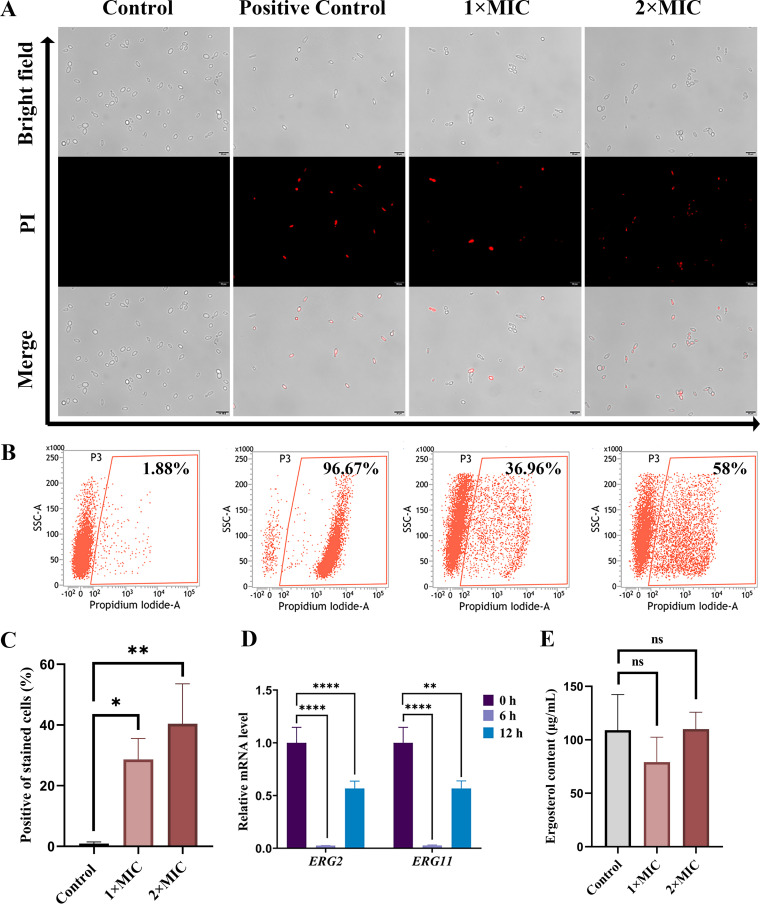 FIG 3