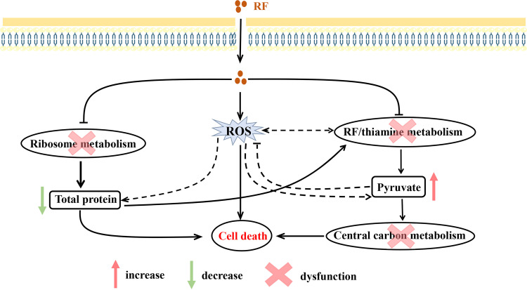 FIG 8