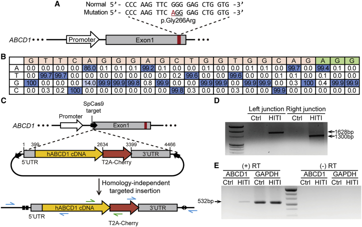 Figure 2