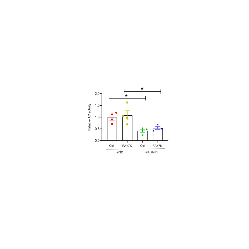 Supplemental Figure S1