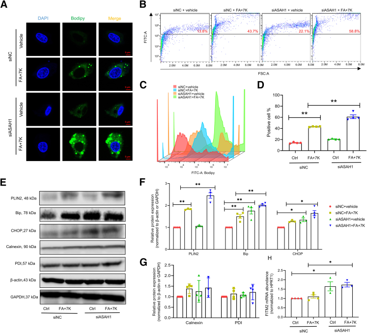 Figure 6
