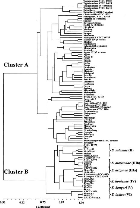 FIG. 1.