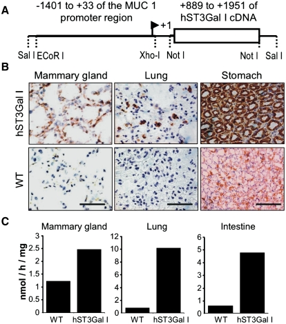 Fig. 2