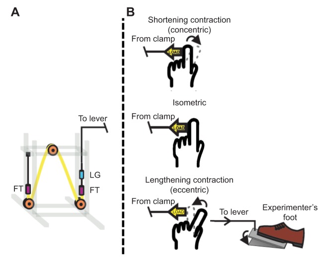 Fig. 4.