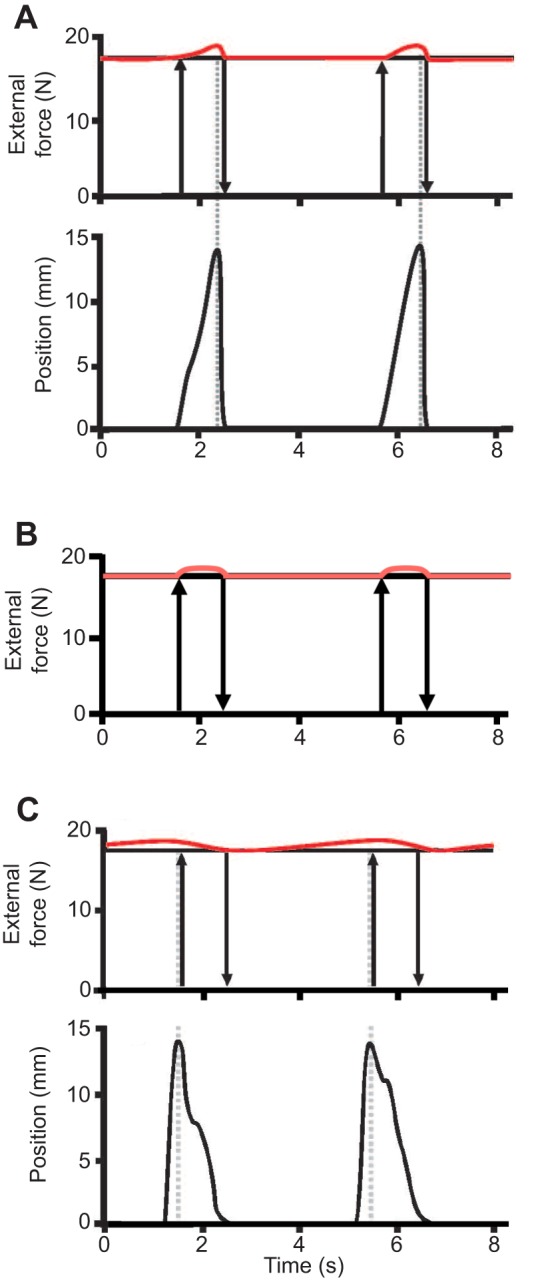 Fig. 5.