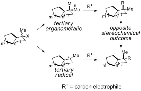 Scheme 3