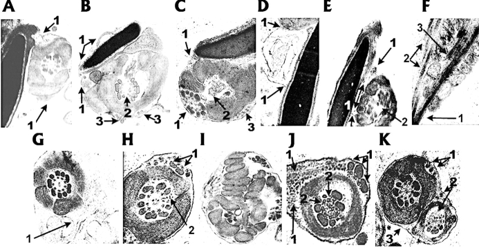 FIG. 6.