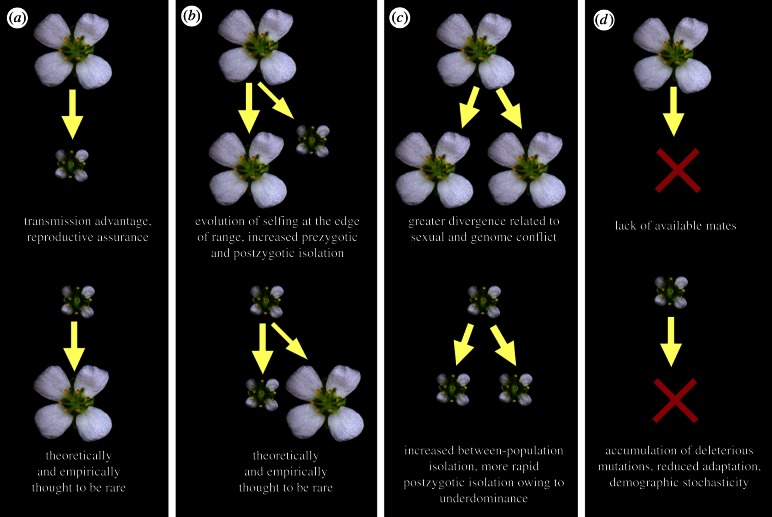 Figure 1.