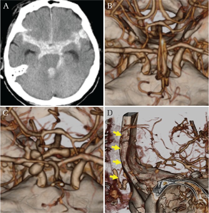 Fig. 6