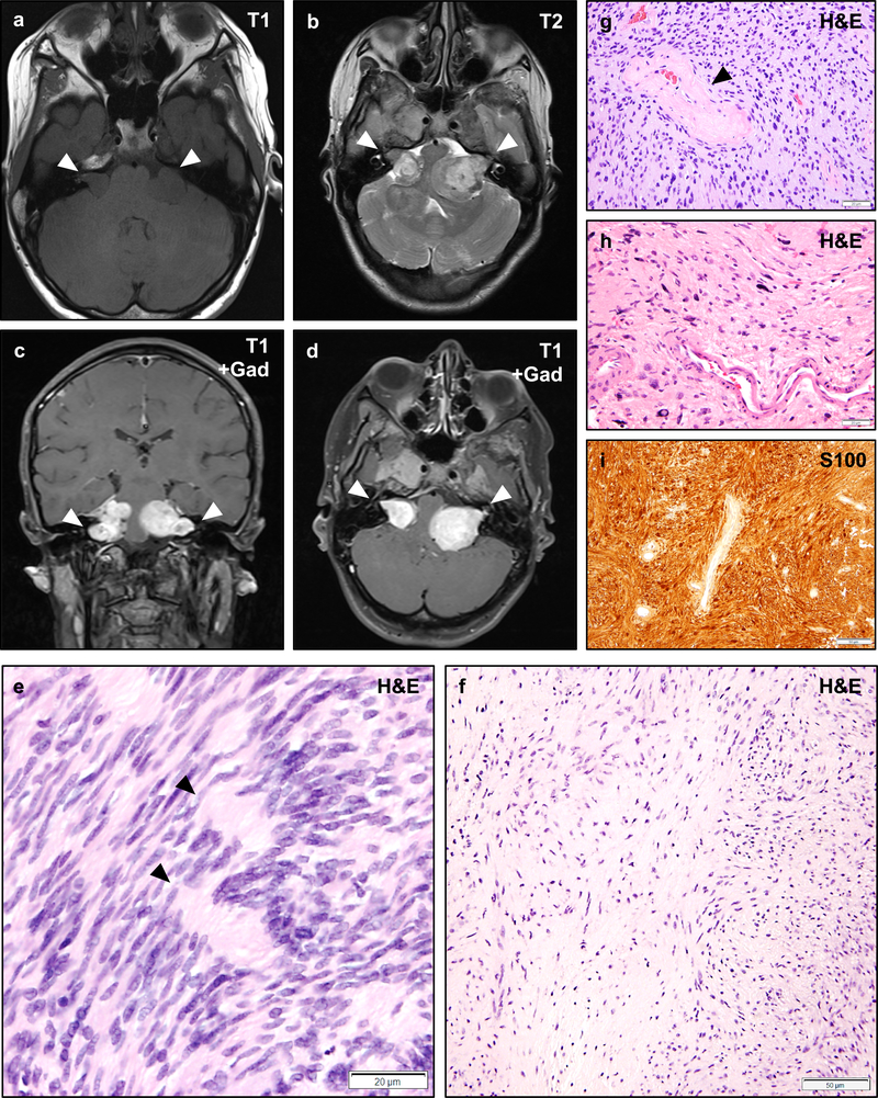 Figure 2 –