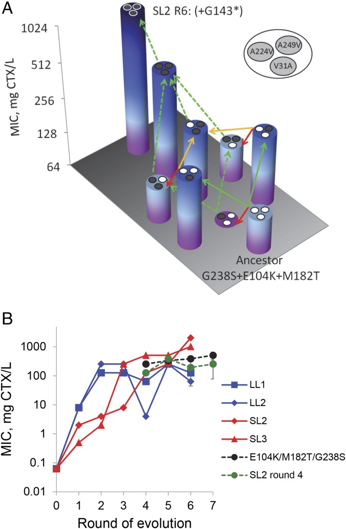 Fig. 4.