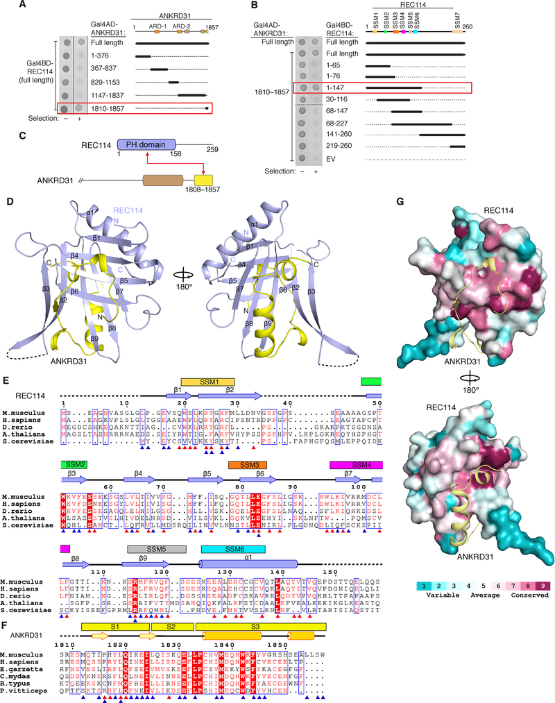 Figure 6.