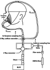 Fig. 1.
