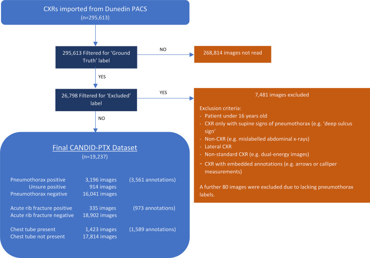 Curation process and final characteristics of the Chest x-ray Anonymised New Zealand Dataset in Dunedin–Pneumothorax (CANDID-PTX) dataset. A total of 295 613 chest radiographs (CXRs) were imported from the Dunedin Hospital picture archiving and communication system (PACS). A total of 26 798 of these images were reviewed by a tier 3 annotator (either a consultant radiologist or registrar) as per the study method; 7481 of these were subsequently excluded as per the exclusion criteria listed, and a further 80 were excluded because they lacked the appropriate “pneumothorax” or “no pneumothorax” labels. The remaining 19 237 images comprise the final dataset, with the numbers of pneumothorax, acute rib fracture, and chest tube annotations being displayed in the figure. Some images contained multiple regions of visible pneumothorax, or multiple fractures or tubes, which were also expressed in the figure.