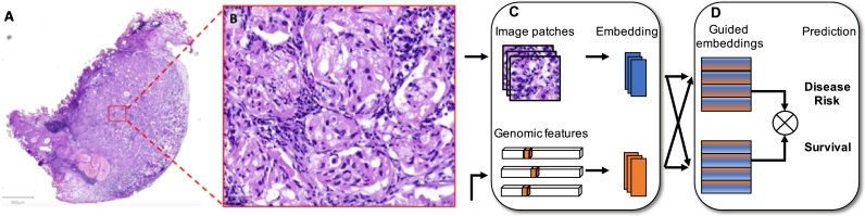 Fig. 3