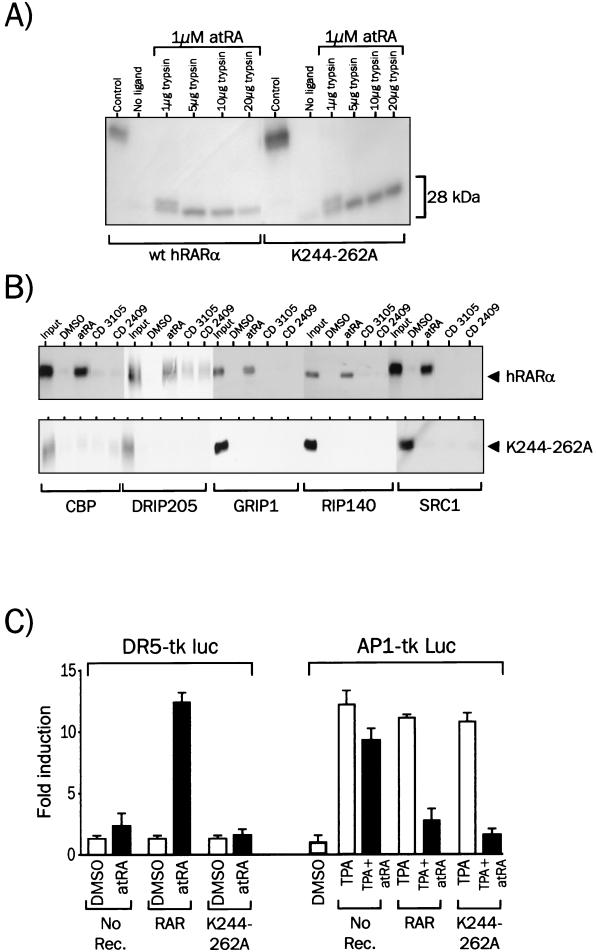 FIG. 7.