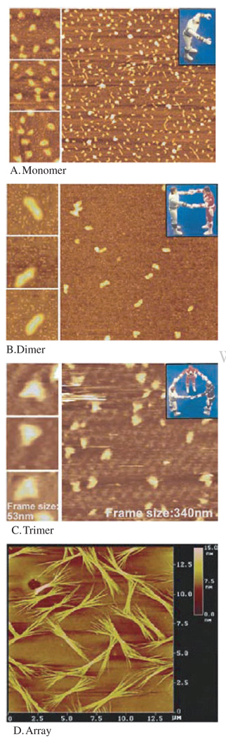 Fig. 3