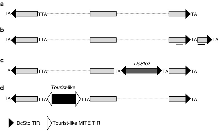 Fig. 5