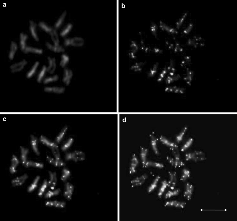 Fig. 4