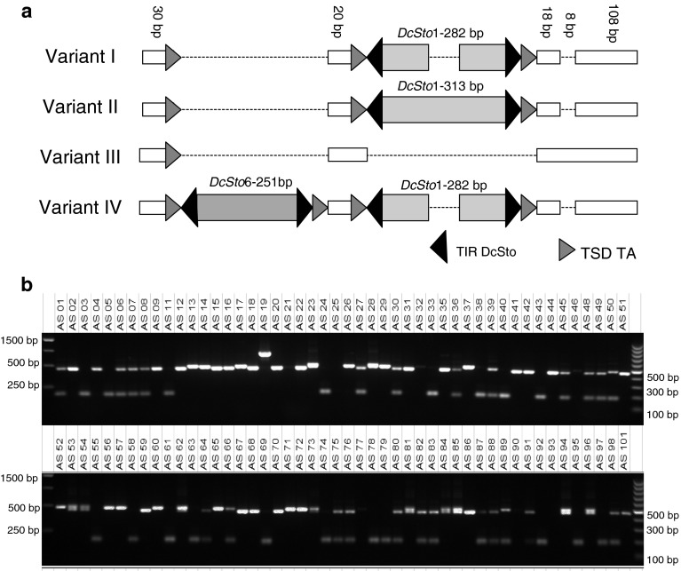 Fig. 6